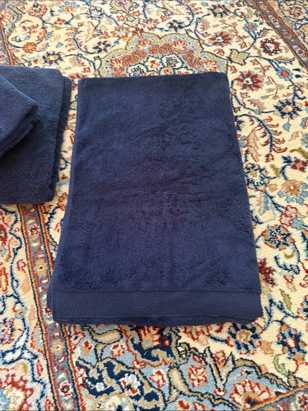 Opalhouse Navy Plush Hand Towels (2) & Worthington Bath Towels (2)